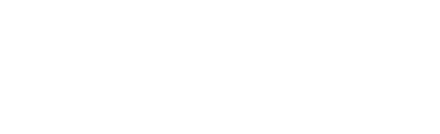 Bär Softwareentwicklung